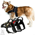 Gustave Adjustable No-Pull Dog Harness, Large, Red