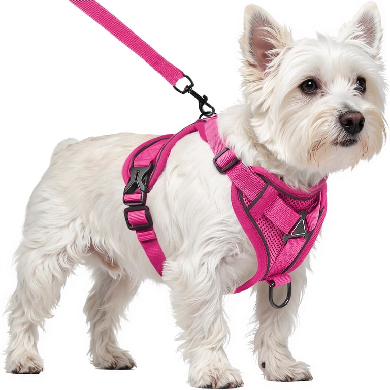 Dog Harness with Leash Cat Harness No Pull Adjustable No Choke Pet Vest for Small Dogs Cats