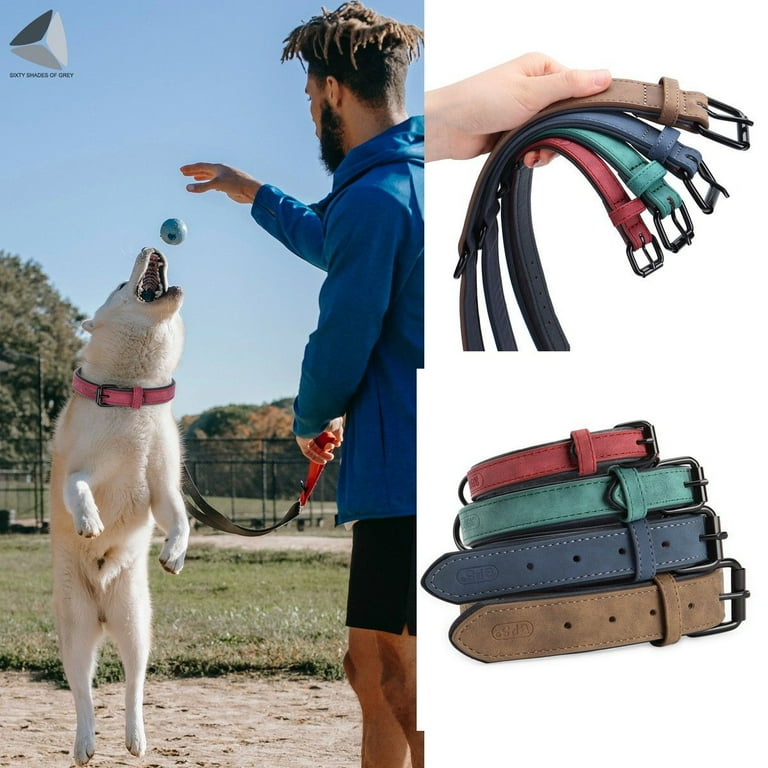 PU Leather Dogs Collar Adjustable Soft Padded Pet Collar for Small Medium Large Dogs (M, Blue)