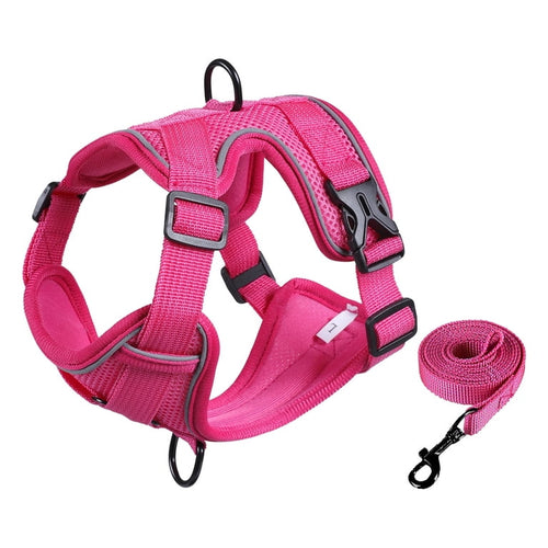 Dog Harness with Leash Cat Harness No Pull Adjustable No Choke Pet Vest for Small Dogs Cats